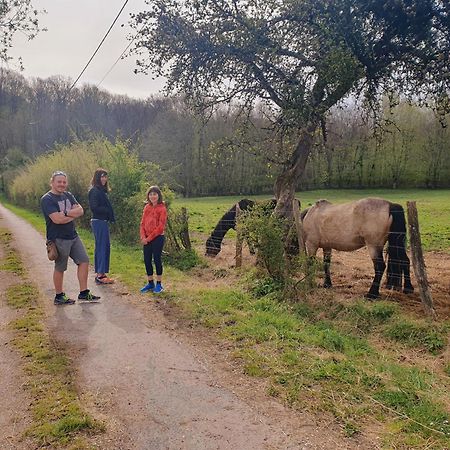 Ferme Equestre & Chambres D'Hotes Gateau Stables Proche Guedelon Saint-Amand-en-Puisaye Esterno foto