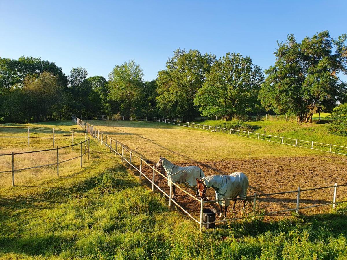 Ferme Equestre & Chambres D'Hotes Gateau Stables Proche Guedelon Saint-Amand-en-Puisaye Esterno foto