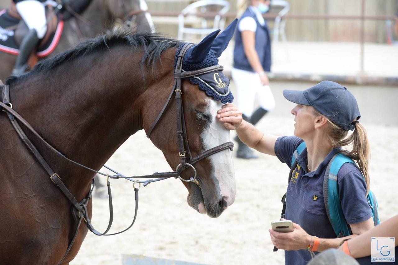 Ferme Equestre & Chambres D'Hotes Gateau Stables Proche Guedelon Saint-Amand-en-Puisaye Esterno foto