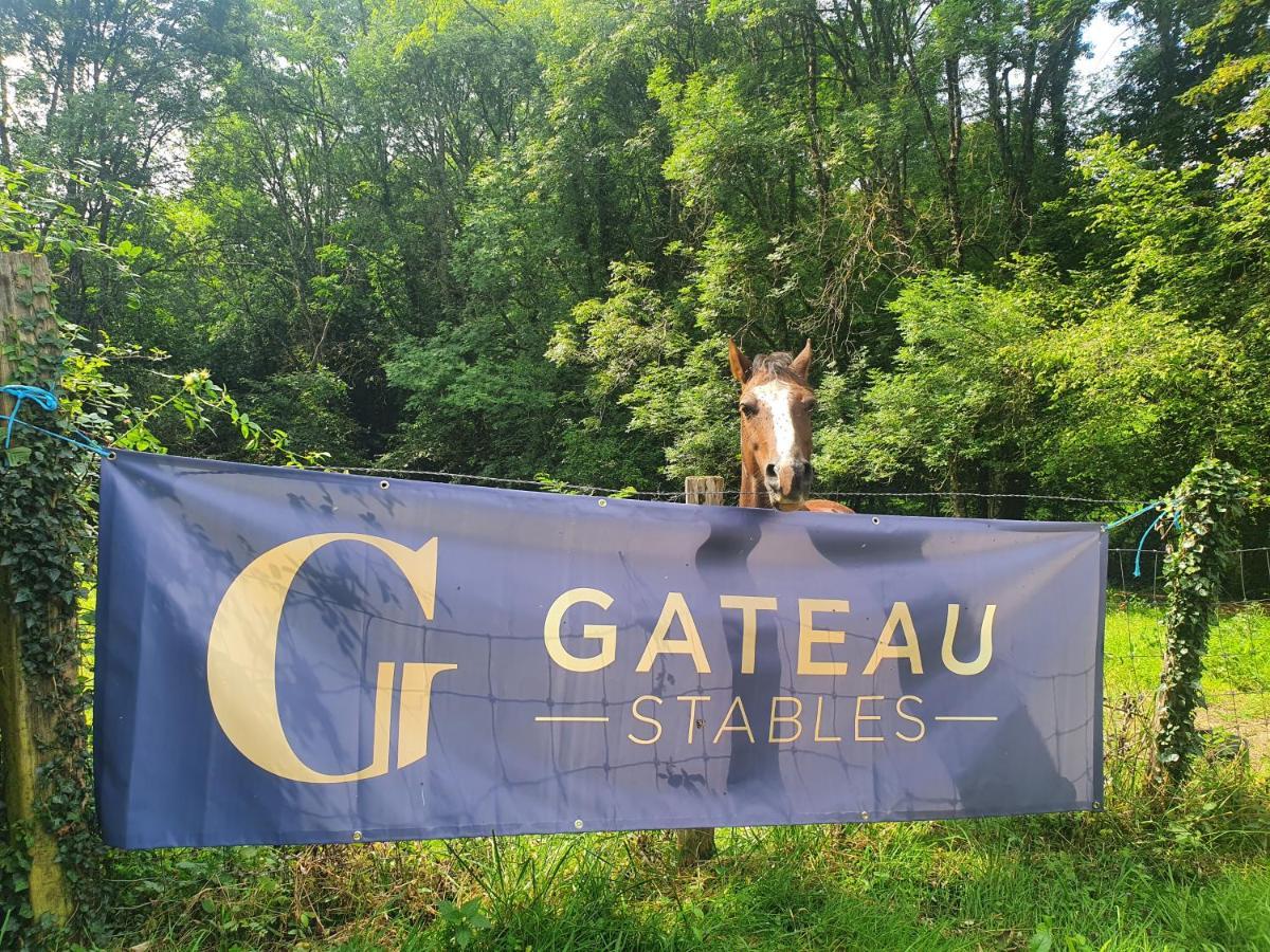 Ferme Equestre & Chambres D'Hotes Gateau Stables Proche Guedelon Saint-Amand-en-Puisaye Esterno foto