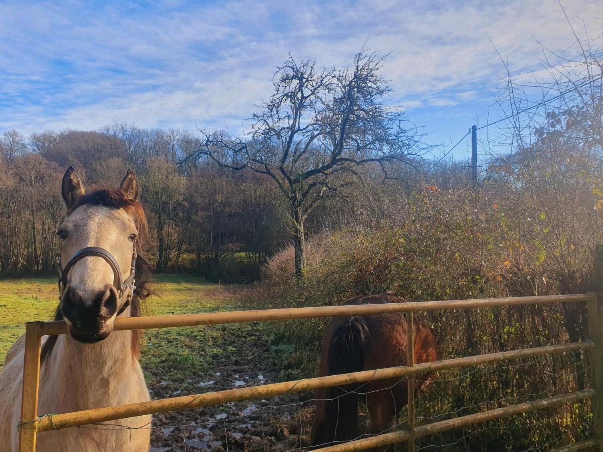 Ferme Equestre & Chambres D'Hotes Gateau Stables Proche Guedelon Saint-Amand-en-Puisaye Esterno foto