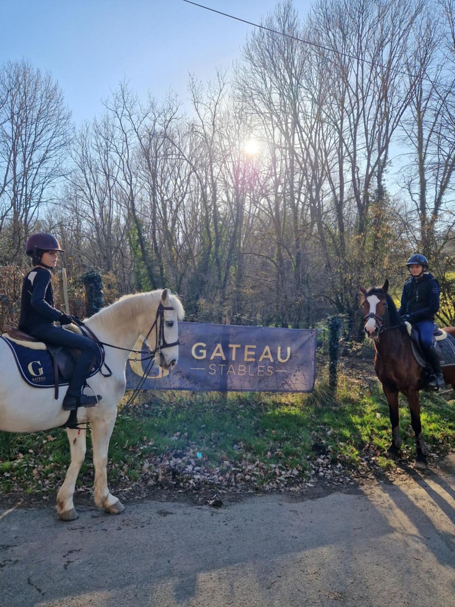 Ferme Equestre & Chambres D'Hotes Gateau Stables Proche Guedelon Saint-Amand-en-Puisaye Esterno foto