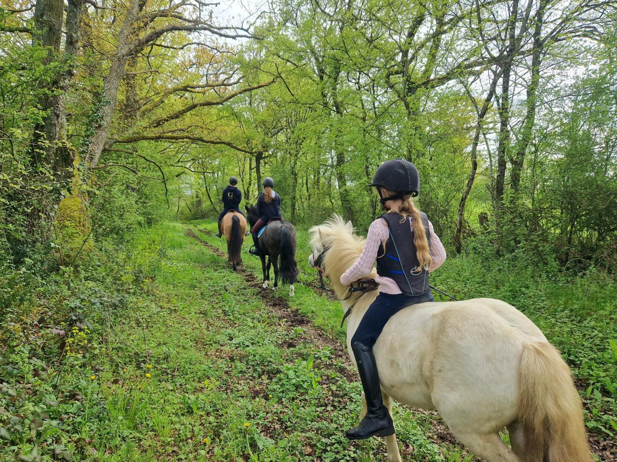 Ferme Equestre & Chambres D'Hotes Gateau Stables Proche Guedelon Saint-Amand-en-Puisaye Esterno foto
