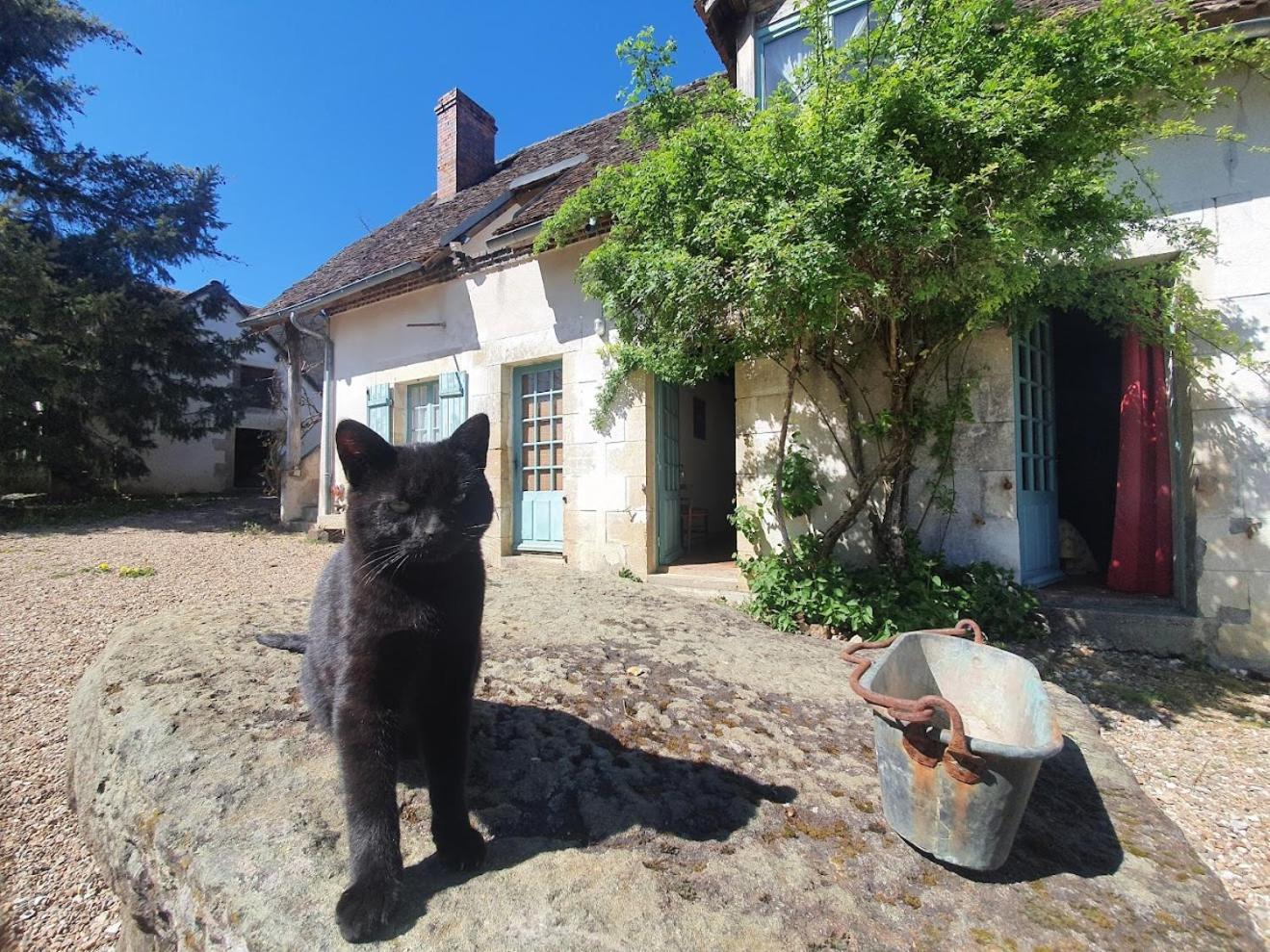 Ferme Equestre & Chambres D'Hotes Gateau Stables Proche Guedelon Saint-Amand-en-Puisaye Esterno foto