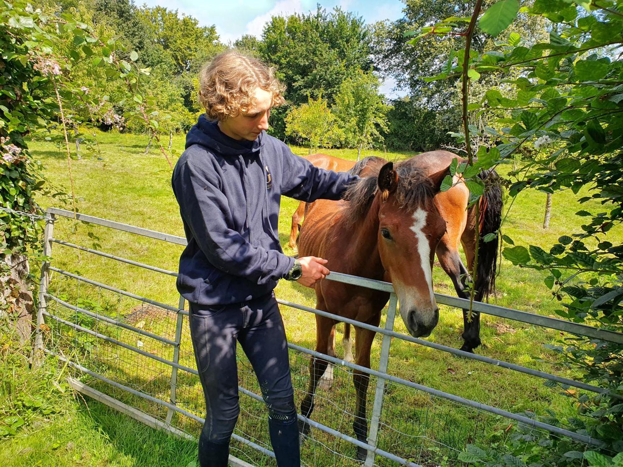 Ferme Equestre & Chambres D'Hotes Gateau Stables Proche Guedelon Saint-Amand-en-Puisaye Esterno foto