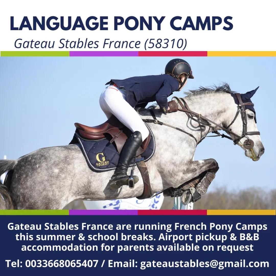 Ferme Equestre & Chambres D'Hotes Gateau Stables Proche Guedelon Saint-Amand-en-Puisaye Esterno foto