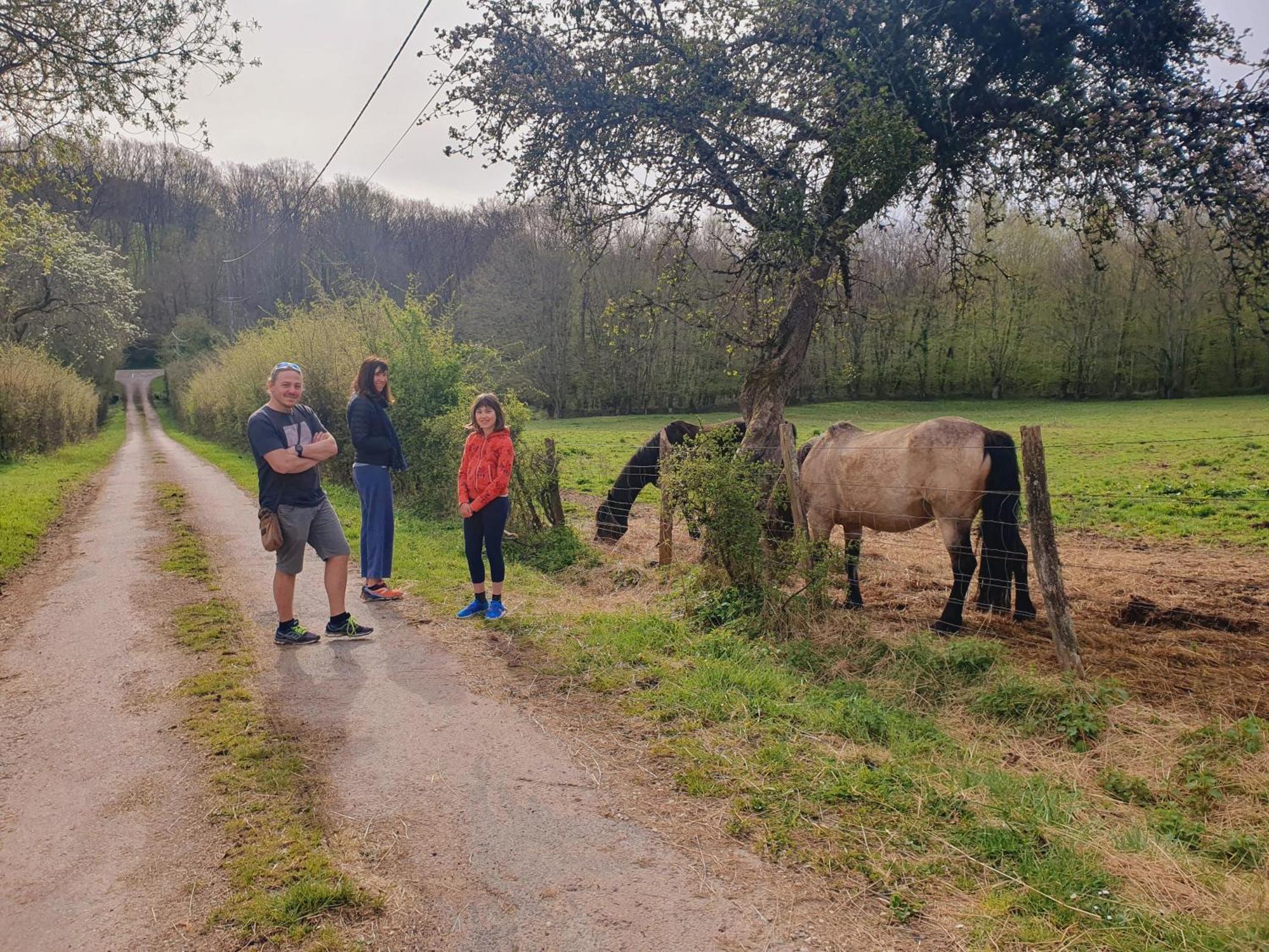 Ferme Equestre & Chambres D'Hotes Gateau Stables Proche Guedelon Saint-Amand-en-Puisaye Esterno foto